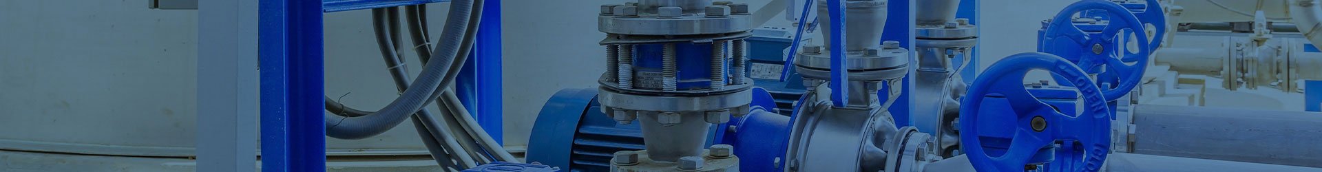 DMS VALVE TEFLONA TEFLON WAFER TİP KELEBEK VANA